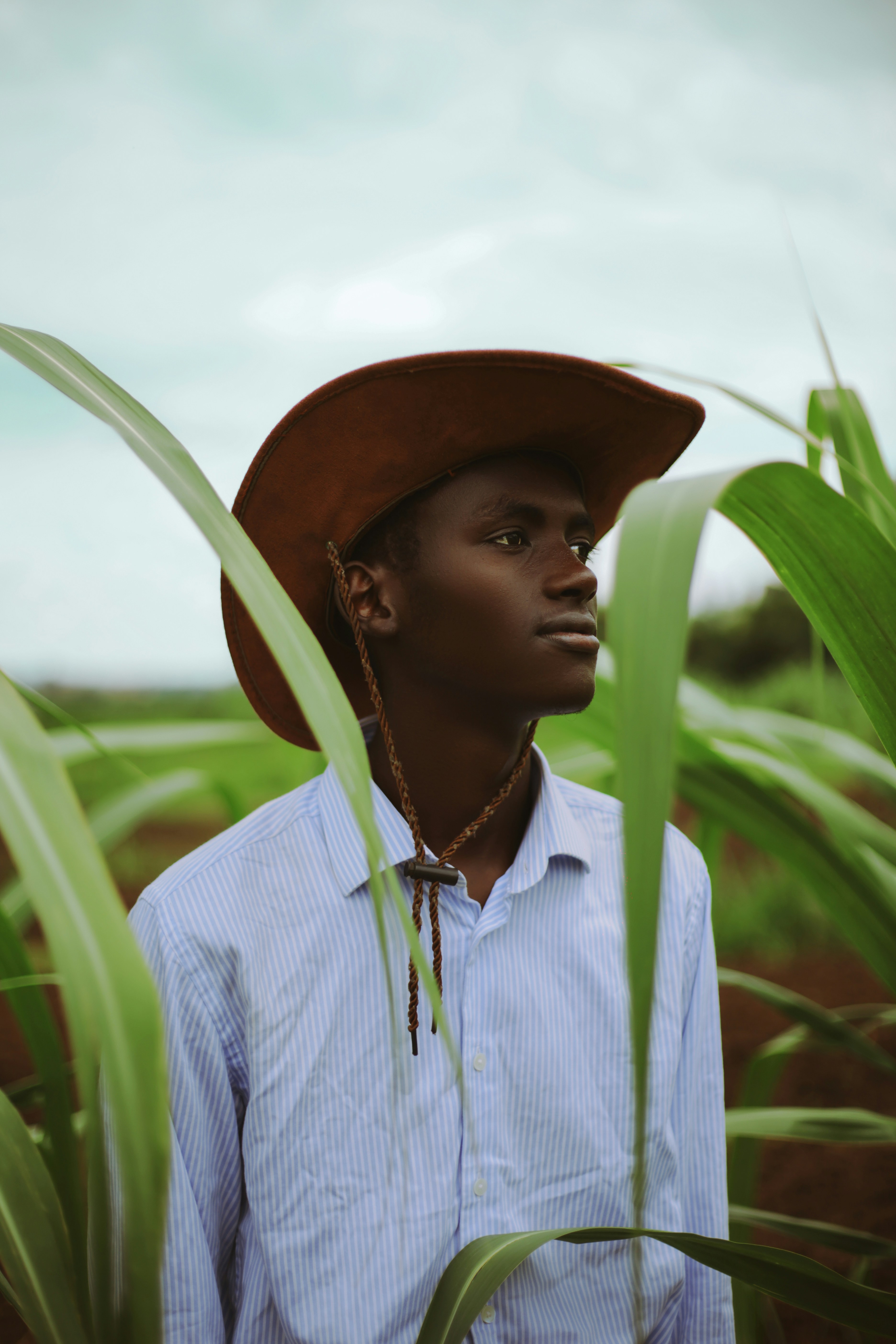 Warm agricultural landscape, Southern Africa